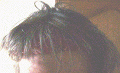 Cheveux.gif