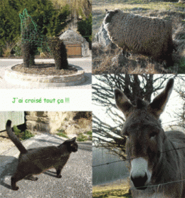 874fcf6e915fd4efa766807c5ba08d38.gif