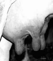 bec0f32ea717ac85dc9d2befd20df9c9.gif