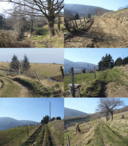 de8841ec85d47c53008a6250932e3301.gif