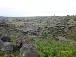 islande,dyrholaey,vik,macareux