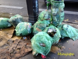 paris,tgv,montmartre,bastille,lavande,place du tertre,rencontre