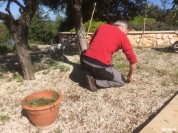 IMG_3107 - copie_watermark.jpg