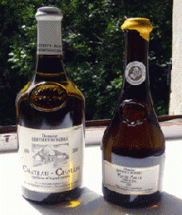 Vins.gif