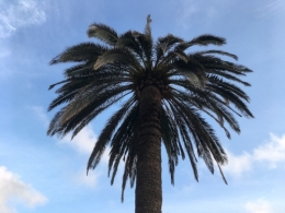 finale ligure,italie,ligurie