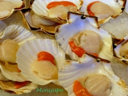 venise,rialto,mercato,italie,poisson,seiche