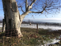 givre,mornant,monts du lyonnais