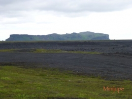islande,dyrholaey,vik,macareux