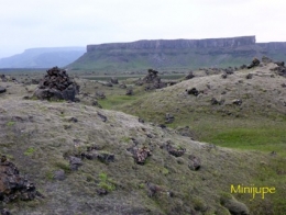 islande,dyrholaey,vik,macareux