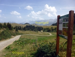 Vue6.jpg