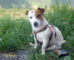 la clusaz,bombardellaz,montagne,refuge,paccaly