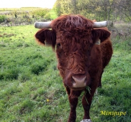 médias,libération,le monde,marianne2,tf1,france2,france3,france inter,europe1,rtl,rmc