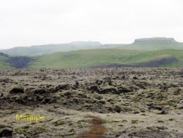 islande,dyrholaey,vik,macareux