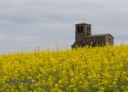 olympus,om-d,photo,hybride,zoom,plaisir