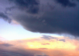 Contraste.gif