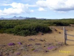 islande,reykjavik,eldborg,snaefellsjokullvolcan