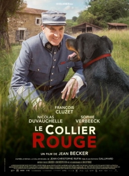 collier rouge,françois cluzet,chien