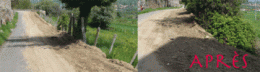 257419913.gif