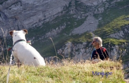 lac de peyre,col de la colombière,haute-savoie,chamois,rando,dénivelé