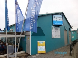 islande,voyage,icelandic soup,requin,3 frakkar