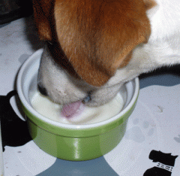 P1020669.gif