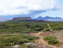 islande,reykjavik,eldborg,snaefellsjokullvolcan