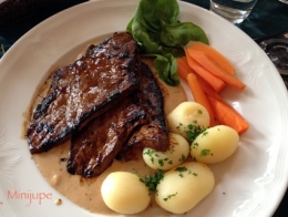 islande,voyage,icelandic soup,requin