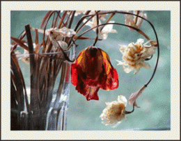be58958083271cb2a39914e3b86b8225.gif