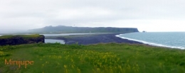 islande,dyrholaey,vik,macareux