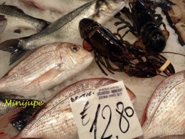 venise,rialto,mercato,italie,poisson,seiche