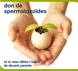 don-spermatozoides-1.jpg