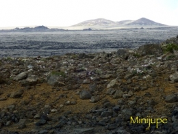 islande,keflavik,selfoss,blue lagoon,grindavik
