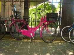 vélo rose