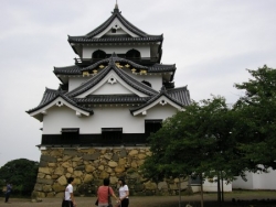 Le château d'Hikone