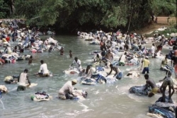 Dominique Leblanc-Troussel