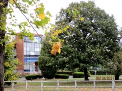 Faculté des Métiers