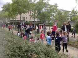 Arrivée de la première course