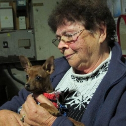 Dans la halle des Graviers