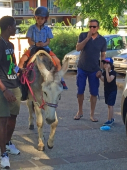 L'attraction phare de l'année