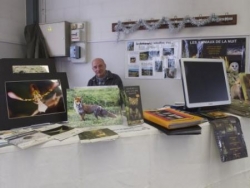 Photographies d'animaux