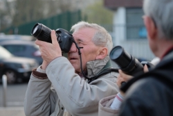 Observer les oiseaux en ville