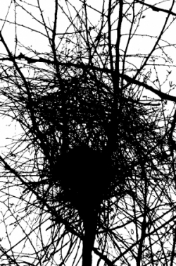 Vus entre 9 h et 10h