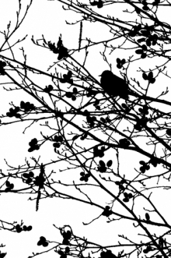 Vus entre 9 h et 10h