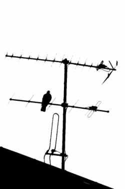 Vus entre 9 h et 10h