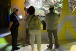 La maison des "petites bêtes"