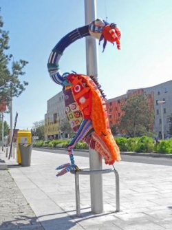 Ecrevisse à plumes, pl. de l'UE