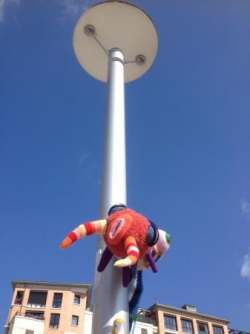 Ecrevisse à plumes, pl. de l'UE