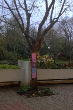 Installation RPA Les Pervenches le 8 déc.