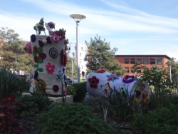 Objets Floraux Non Identifiés