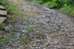 Le chemin des Mérovingiens